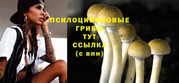 ПСИЛОЦИБИНОВЫЕ ГРИБЫ Аркадак