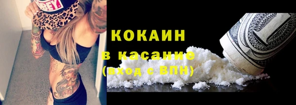 ПСИЛОЦИБИНОВЫЕ ГРИБЫ Аркадак