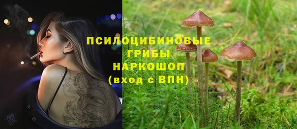 ПСИЛОЦИБИНОВЫЕ ГРИБЫ Аркадак