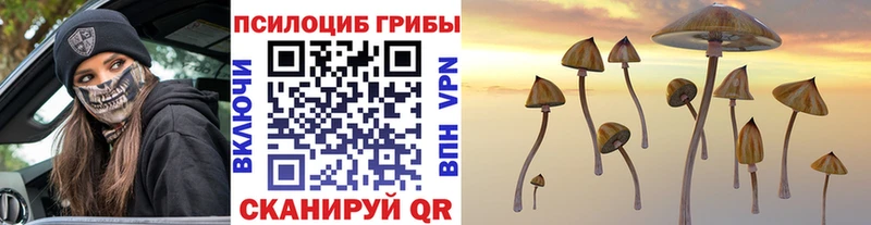 продажа наркотиков  mega ссылка  площадка как зайти  Чистополь  Галлюциногенные грибы MAGIC MUSHROOMS 